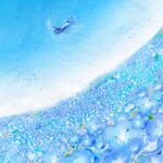 飛行機 ひこうき 優しいイラスト 風景 ネモフィラ 空 エニーナ