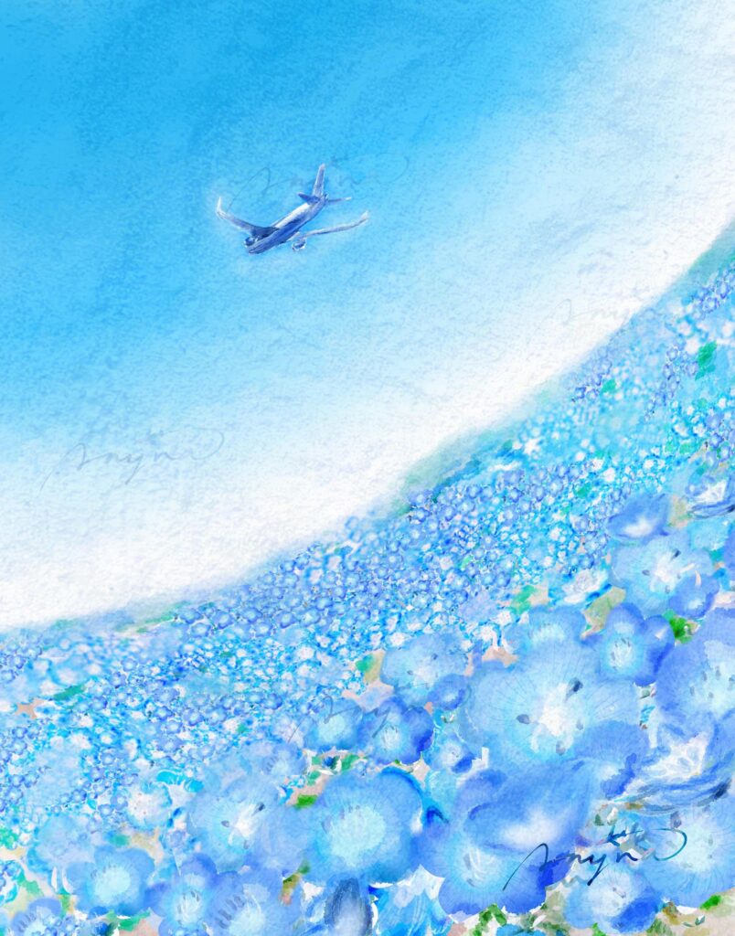 飛行機 ひこうき 優しいイラスト 風景 ネモフィラ 空 エニーナ