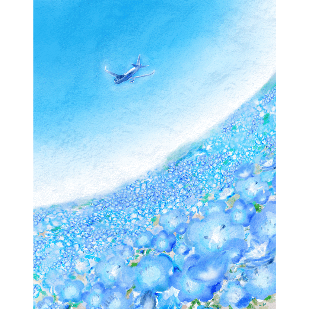 飛行機　ひこうき　優しいイラスト　風景　ネモフィラ　空　エニーナ